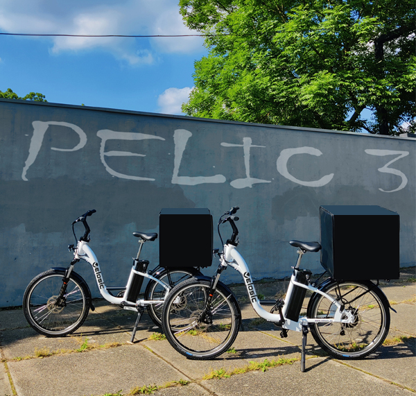PELIC 3 - Das Liefer-Pedelec